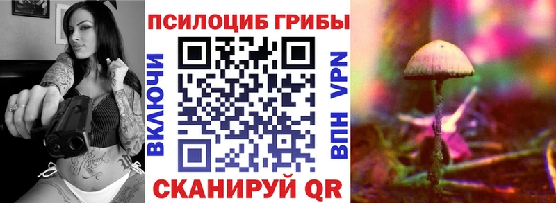 где можно купить наркотик Туапсе Псилоцибиновые грибы Psilocybe